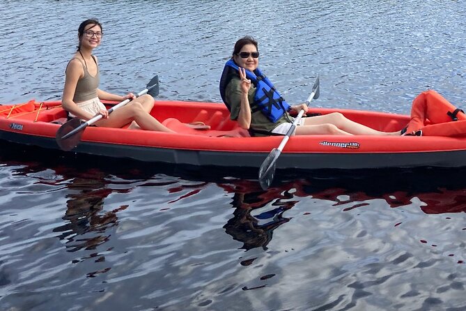 New Smyrna Dolphin and Manatee Kayak and SUP Adventure Tour - Experience Highlights