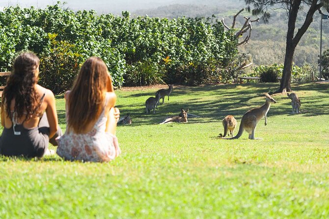 North Stradbroke Island (Minjerribah) Day Trip From Brisbane - Inclusions and Amenities