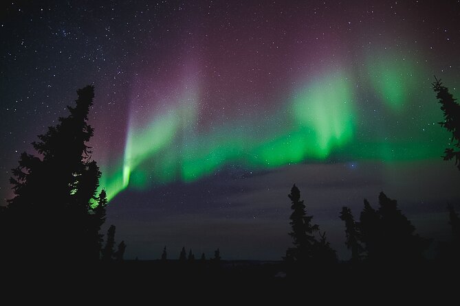 Northern Lights Viewing at Murphy Dome - Customer Experiences and Feedback