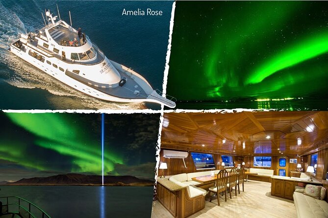 Northern Lights Yacht Cruise in Reykjavik - Customer Reviews and Feedback