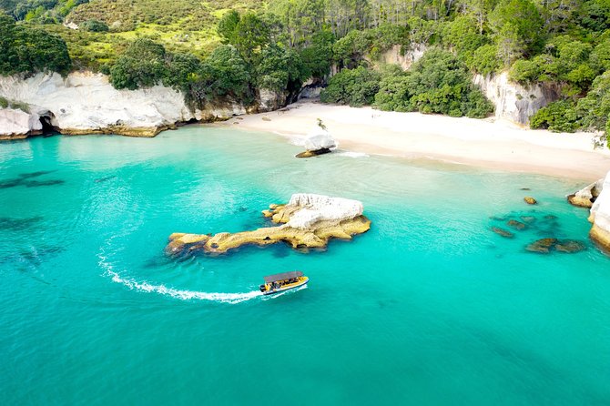 Ocean Leopard Tours - Cathedral Cove Boat Tour - What to Bring on the Tour