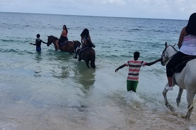 Ocho Rios Private Horse Riding, River Tubing and Rafting[Entry Fee Not Included] - Cancellation Policy