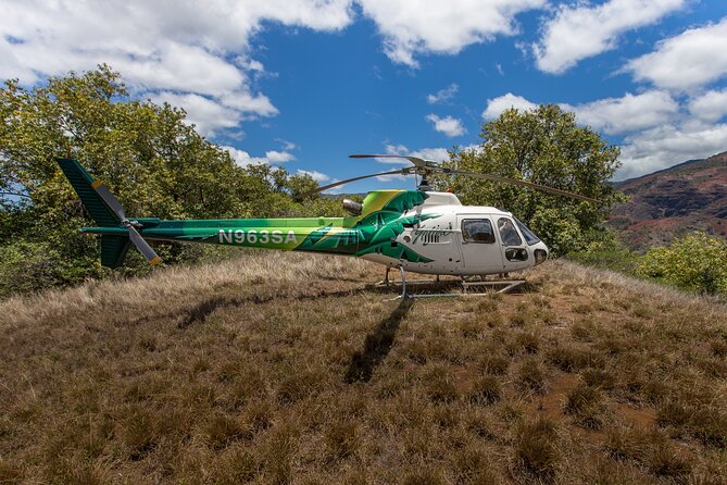 Olokele Canyon Helicopter Tour Including Canyon Landing Kauai - Weight and Accessibility Requirements