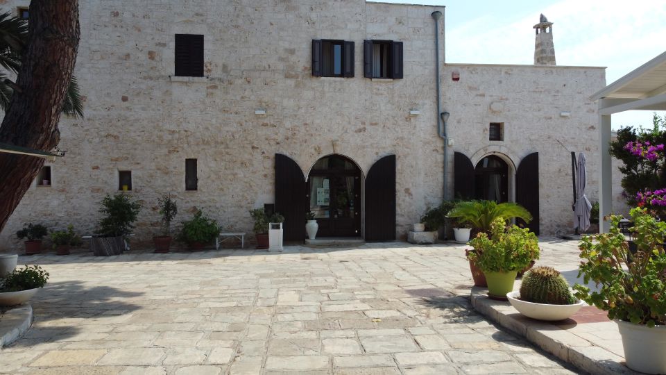 Ostuni: Olive Oil Tasting Tour - Exploring Ostuni and Surroundings