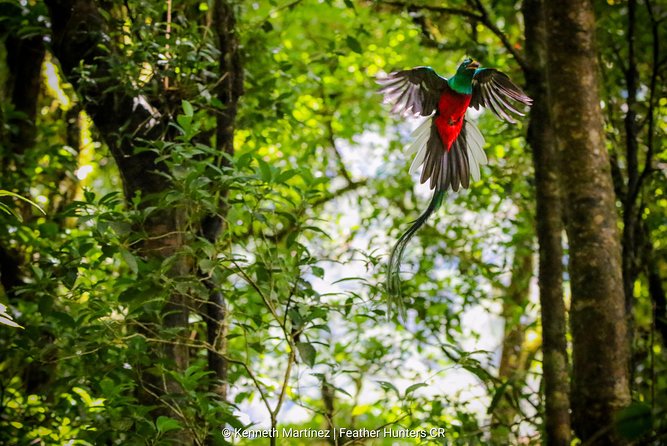 Package | Monteverde Cloud Forest + Curi-Cancha Reserve + Night Hike (Private) - Pricing and Booking Information