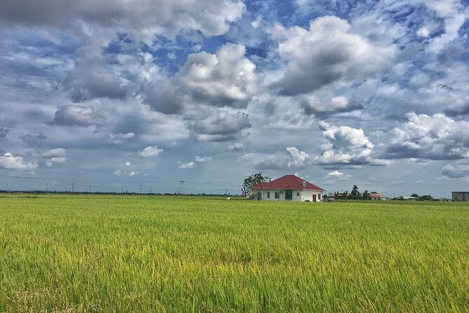 Paddy Field, Fishing Village Sekinchan DAY Tour Lunch (SIC-Shared/Join In Tour) - Accessibility Details