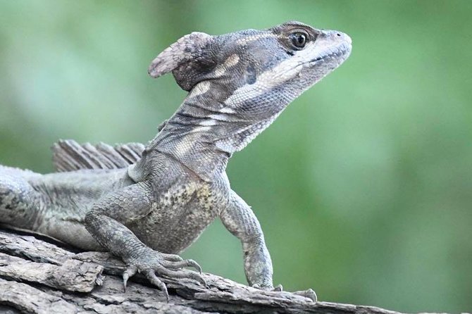 Palo Verde National Park Boat Tour - How to Book Your Tour