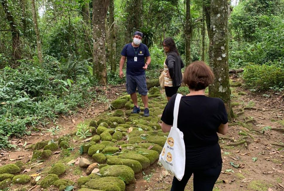 Paraty: Gold Trail Rainforest Hiking Tour - Scenic Features of the Trail