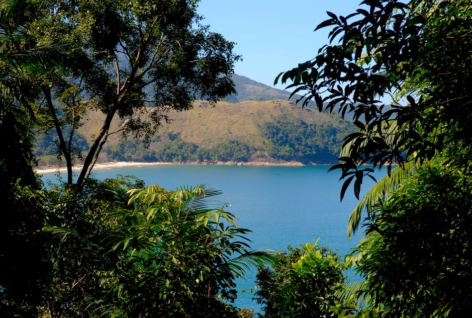 Paraty: Sono Beach Half-day Tour - Meeting and Return Logistics