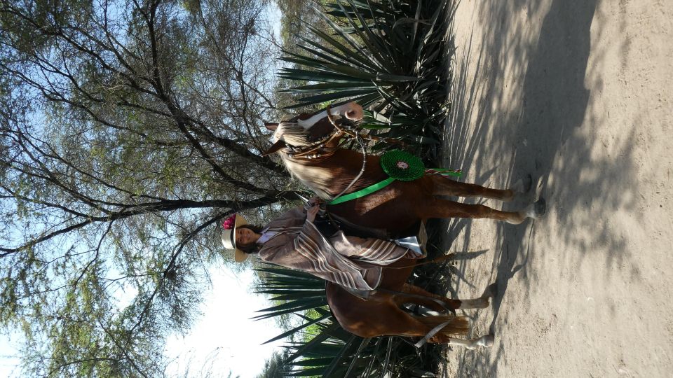 Peru, Chiclayo: 1 Day Horseback Riding and Ancient Pyramids - Booking Information