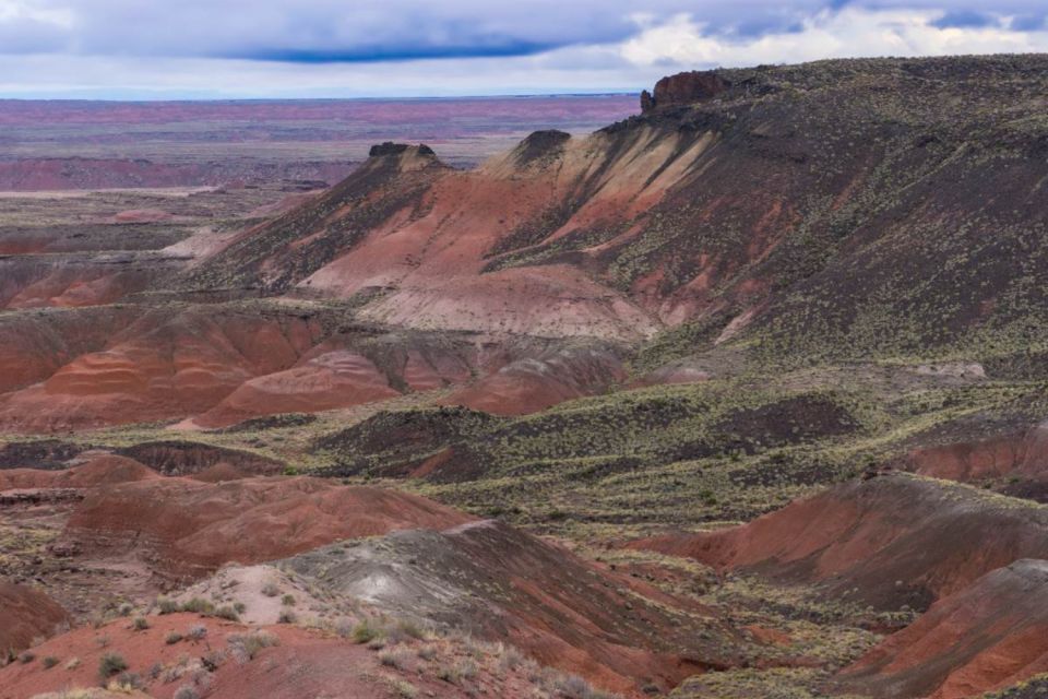 Petrified Forest National Park Self-Guided Audio Tour - Important Information