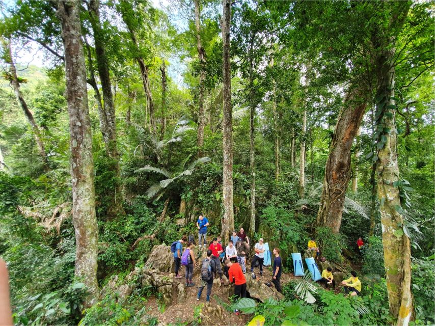 Phong Nha: Phong Nha National Park Guided Tour With Lunch - Paradise Cave Experience