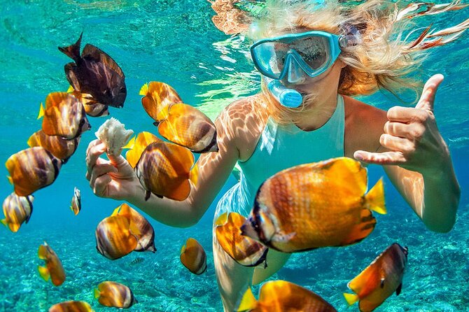 Phuket Coral Island Private Snorkeling Adventure All Inclusive - Traveler Experiences