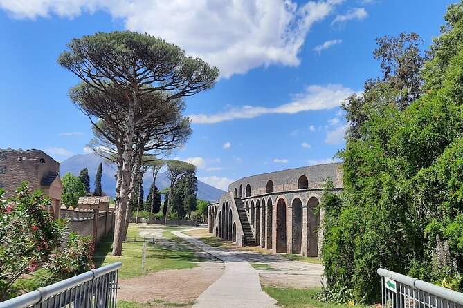 Pompeii for Kids - Private Tour - Engaging Activities for Kids