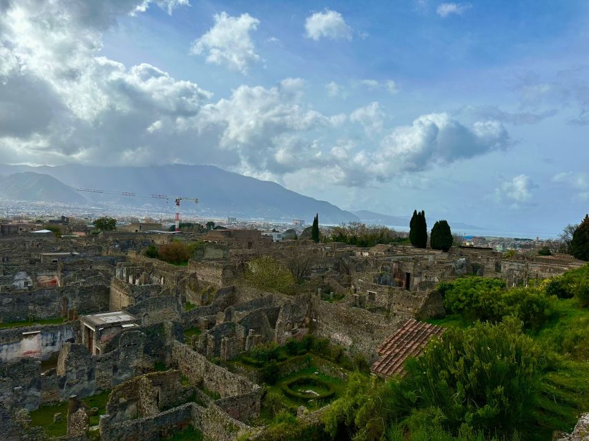 Pompeii: Walking Tour With an Archeological Guide - Booking Details