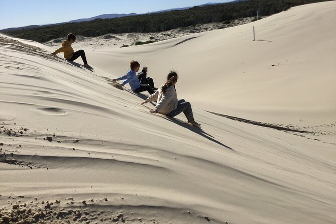 Port Stephens, Beach and Sand Dune 4WD Tag-Along Tour - Participant Requirements