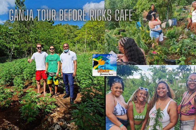 Private 3-5h Natural Herbs Tour, Shopping & Dinner at Ricks Cafe - Shopping Highlights