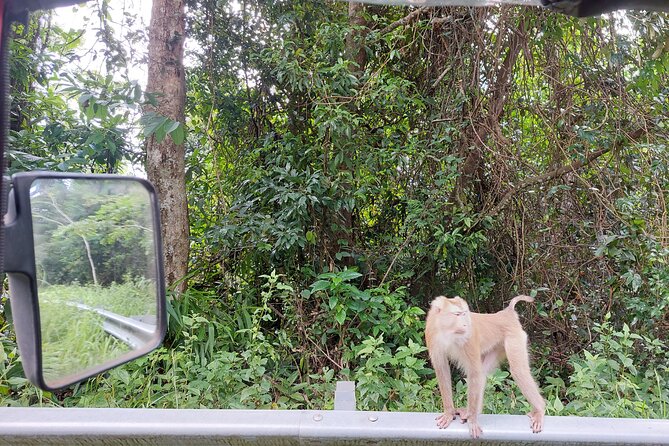 Private Bokor Tours With Tuktuk/Suv Car Including Lunch - Traveler Considerations