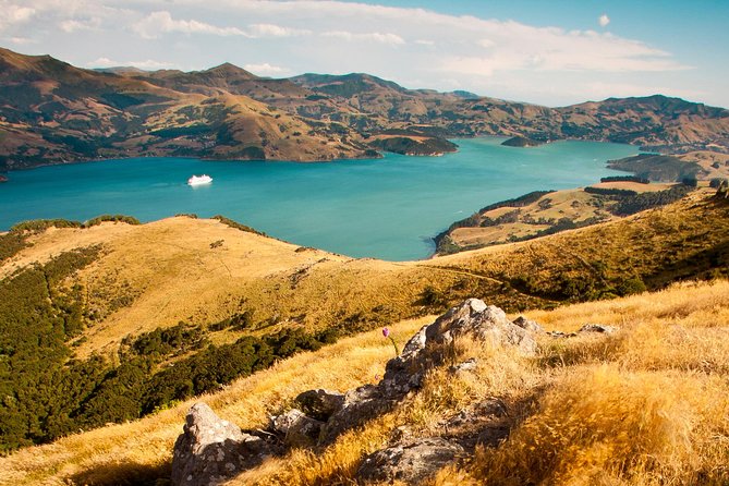 Private Day Scenic Excursion to Akaroa/Christchurch Ex Lyttelton - Accessibility Features