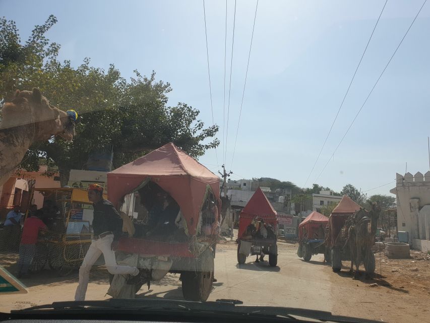 Private Day Trip to Pushkar From Jaipur - Travel Logistics