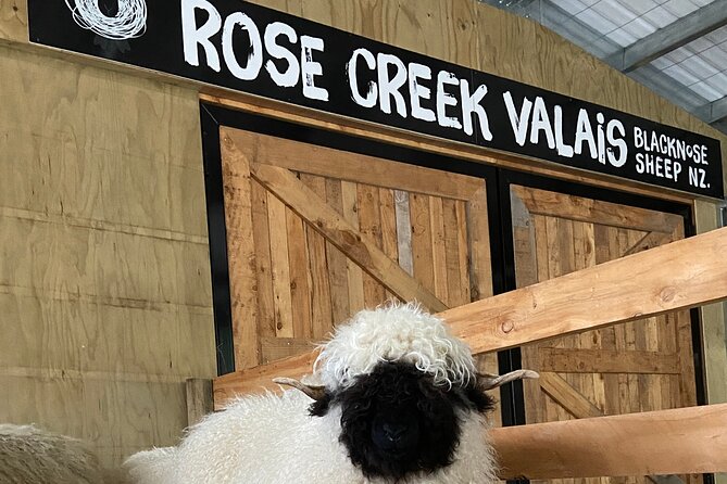 Private Farm Tour With Rose Creek Valais Blacknose Sheep - Booking Details and Policies