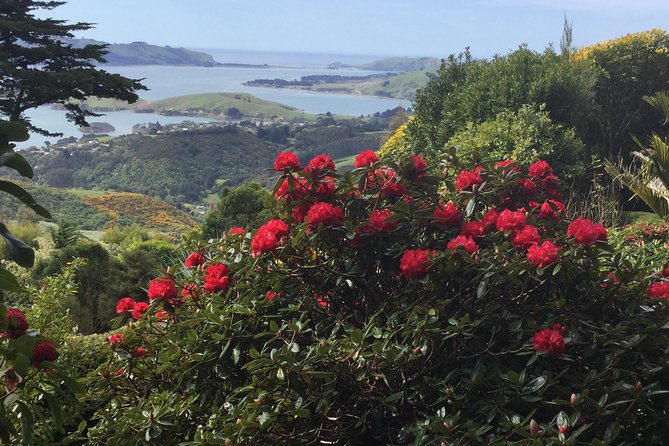 Private Guided Tour of Dunedin City Heritage and Unique Wildlife and Scenery - Booking Information