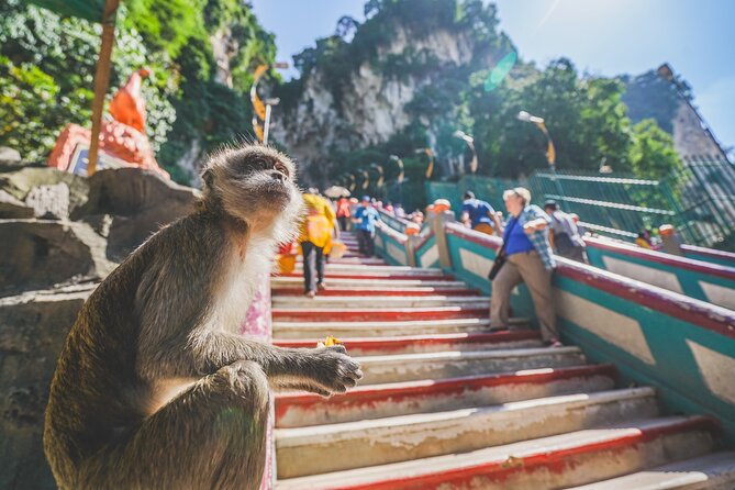 Private Half-Day Batu Caves and Cutural Tour in Kuala Lumpur - Accessibility Features