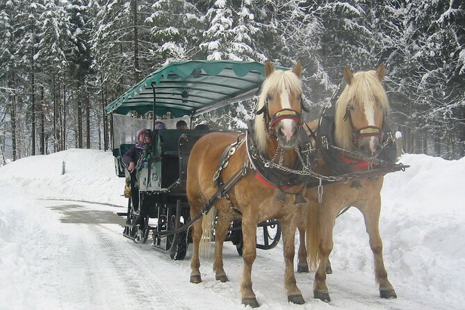 Private Horse-Drawn Sleigh Ride From Salzburg - Scenic Highlights