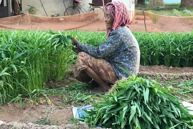 Private Siem Reap Countryside Tour by Jeep With Local Food Experience - Customer Reviews