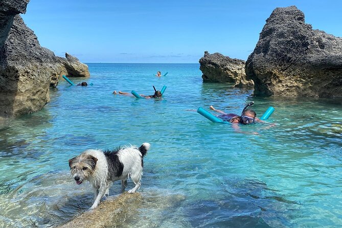 Private Sightseeing, Swimming Boat Charter With Captain and Dog! - Tips for a Great Day