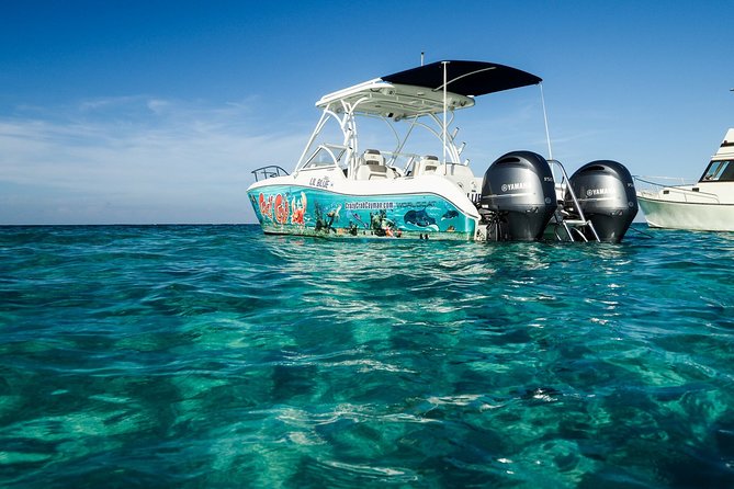 Private Stingray City Snorkeling and BioBay Charter for 6 Guests - Safety and Liability