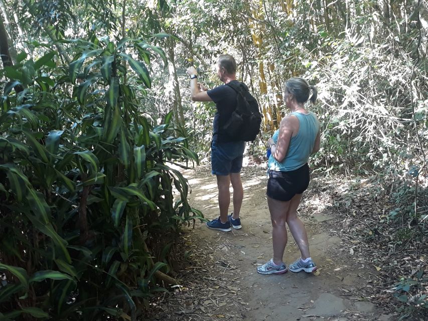 Private Tijuca Forest & Botanical Garden Guided Tour - Wildlife and Flora Exploration