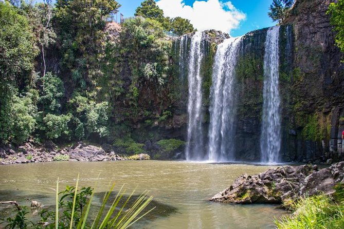 Private Tour: Bay of Islands Day Trip From Auckland - Tips for a Great Experience