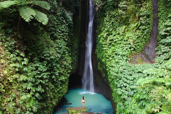 Private Tour: Leke-Leke Waterfall, Handara Gate & Iconic Temples - Participation Guidelines