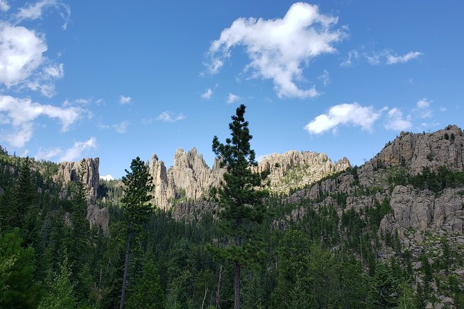 Private Tour of Mount Rushmore, Crazy Horse and Custer State Park - Safety and Health Measures