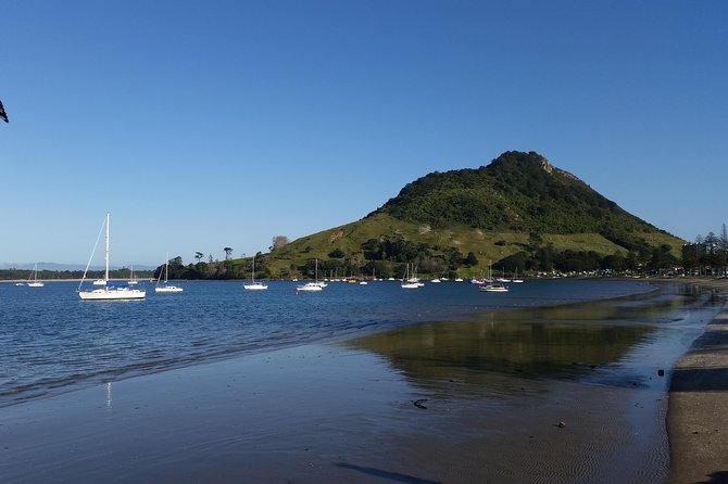 Private Tour Rotorua Shore Excursion up to 8 Passengers - Accessibility Features