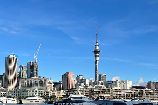 Private Transfer From Auckland Domestic Airport To Auckland City - Operating Hours