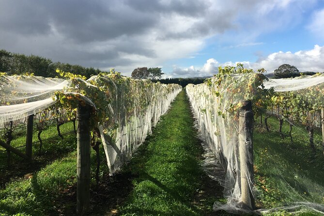 Private Wairarapa Wine Delights Tour From Wellington - Pickup Details