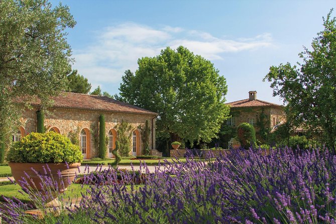 Provence Wine Tour - Private Day Tour From Cannes - Wine Tasting Experience