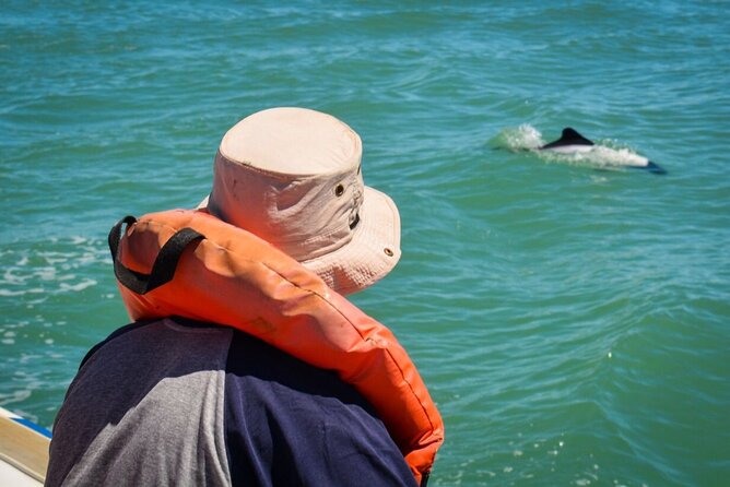 Punta Tombo Penguin Colony From Puerto Madryn With Optional Toninas Watching - Reviews and Traveler Feedback