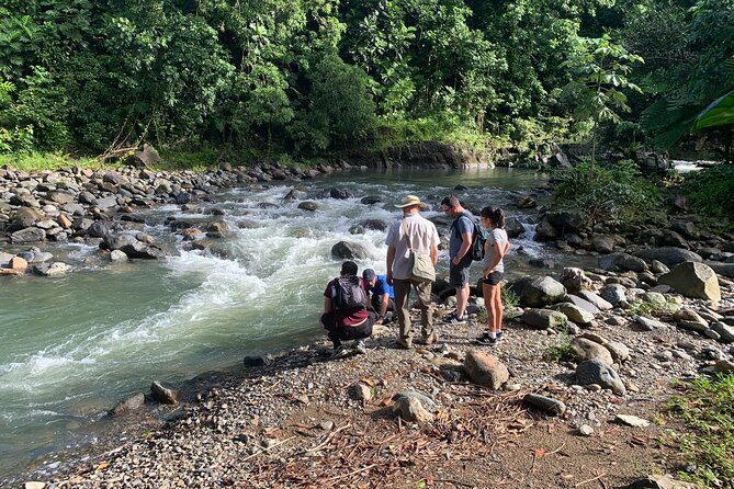 Rainforest Nature Walk & Luquillo Beach Combo - Tips for Participants