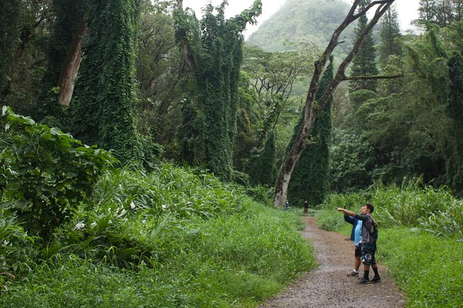 Rainforest Waterfall Trail and Shuttle Service - Accessibility Information