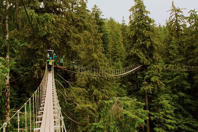Rainforest Zip, Skybridge & Rappel Adventure in Ketchikan, AK - Customer Experiences