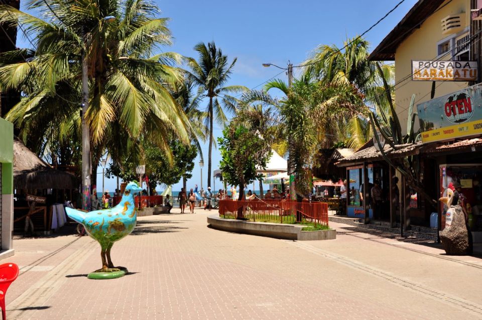 Recife: Tour to Porto De Galinhas - Tips for Visitors