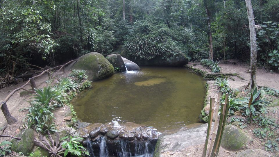 Rio De Janeiro: Tijuca National Park Ecotour - Hiking Experience