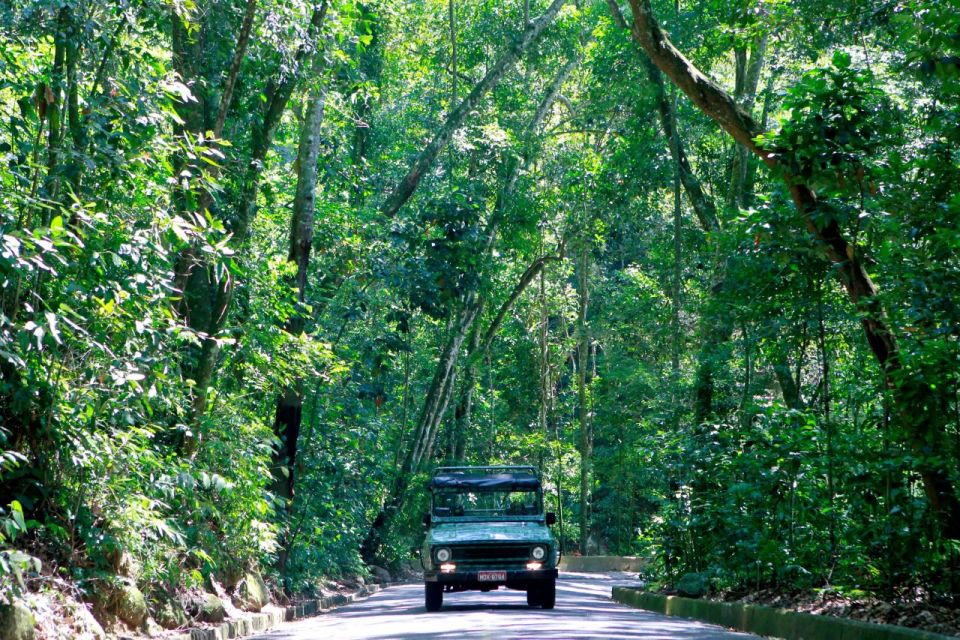 Rio: Jeep Tour to Botanical Garden and Tijuca Forest - Wildlife Encounters