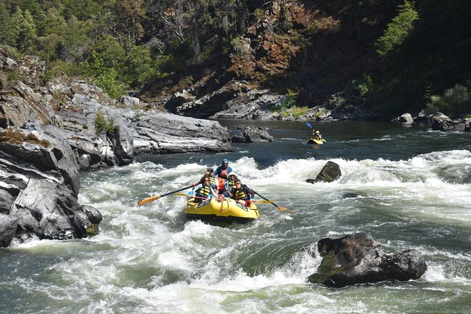 Rogue River Multi-Day Rafting Trip - Traveler Reviews and Experiences