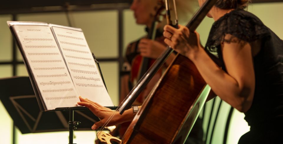 Rome: Opera Concert at the Palazzo Santa Chiara - Accessibility Features