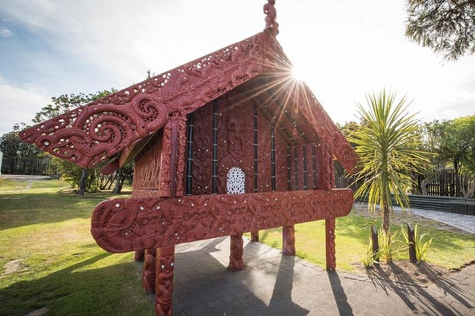 Rotorua Small Group Tour Incl Te Puia, Buffet Lunch & Concert - Accessibility Information