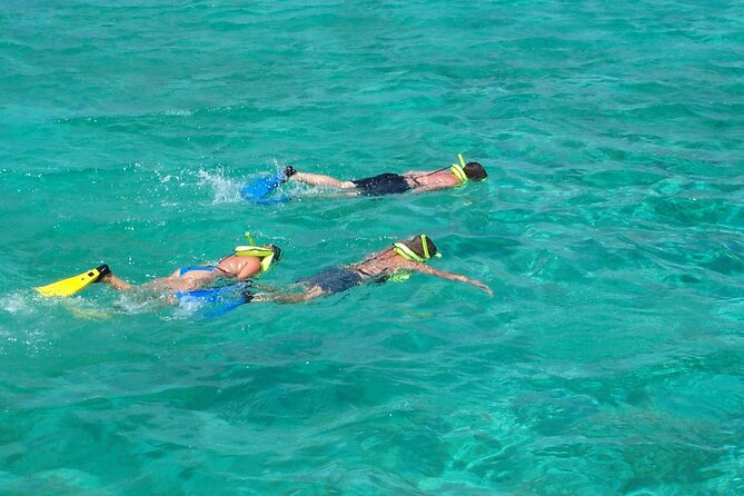 Sail and Snorkel at Cades Reef - Tips for Participants